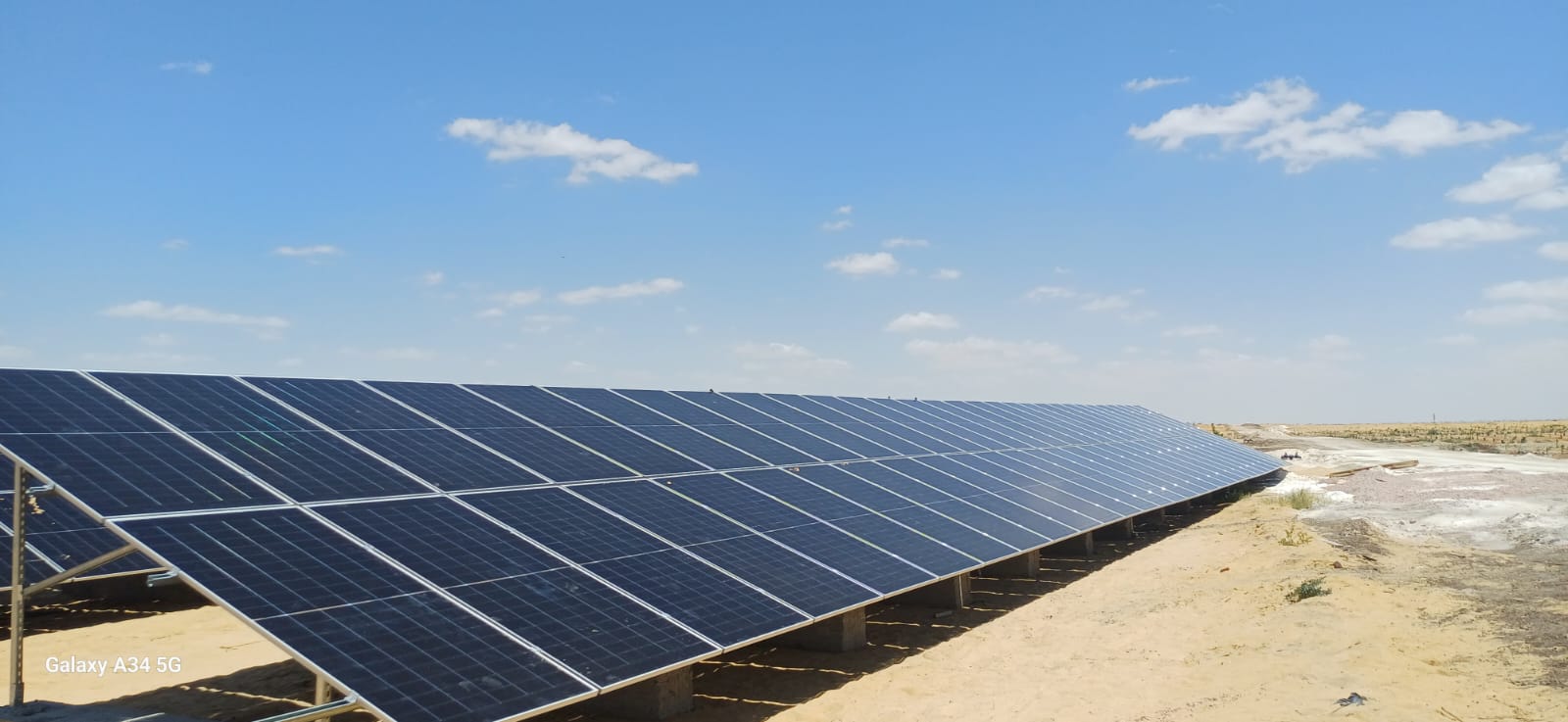 Dar Elsalam Farm (1)