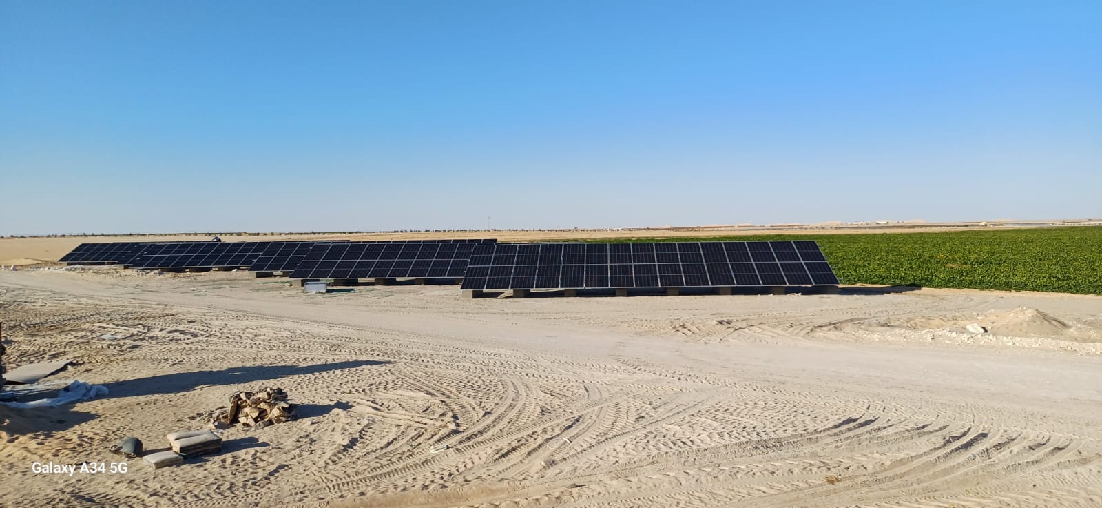 Al \ Omda group farm (4)