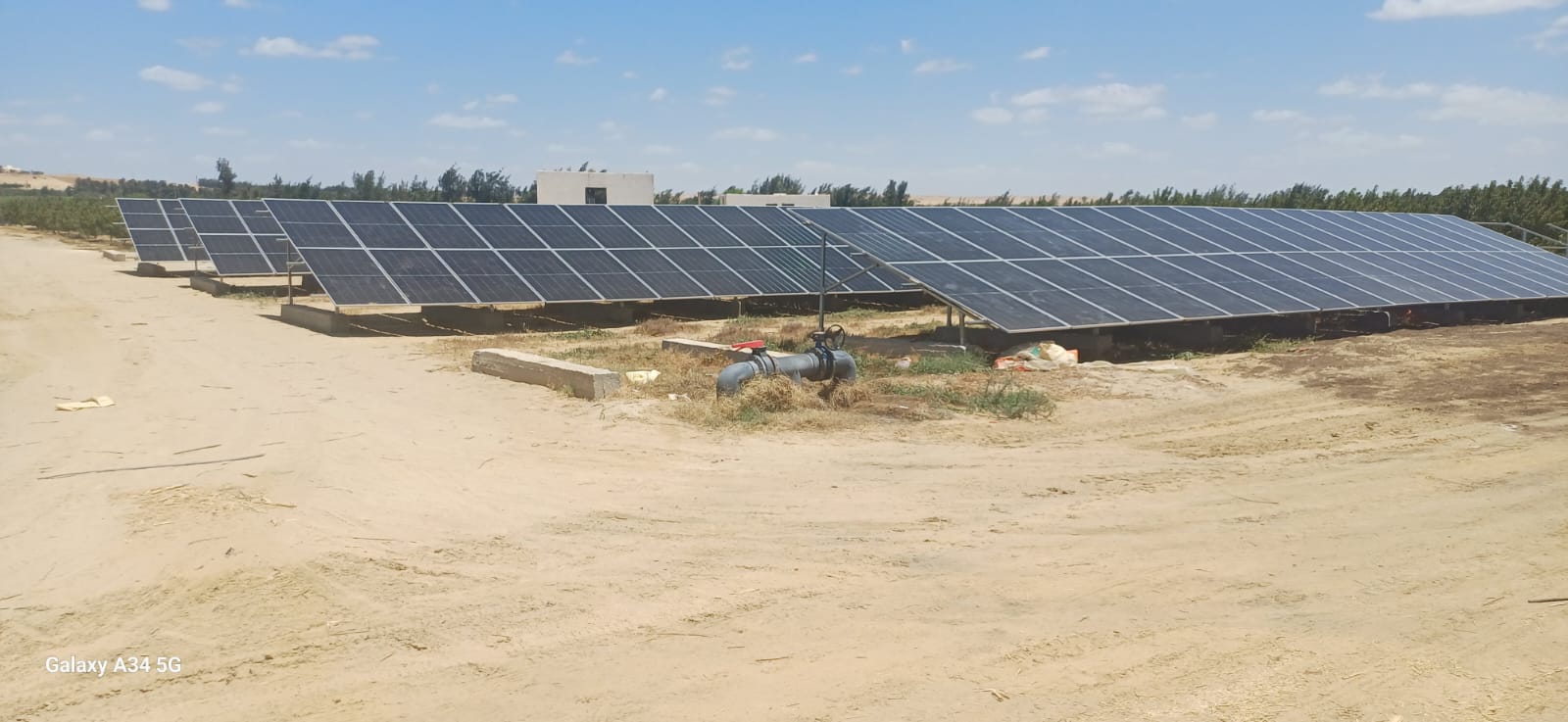 Dar Elsalam Farm (2)