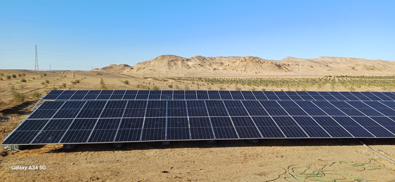 Al-Omda group farm (2)